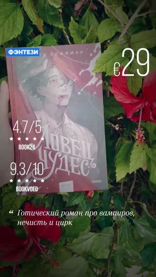 Превью