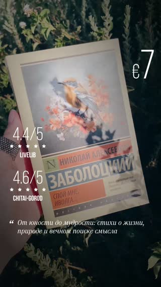 Превью