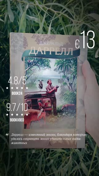 Превью